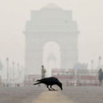 Борони сунъӣ бар зидди дуд: Ҳиндустон барои наҷоти Деҳлӣ чораҳои бесобиқа меандешад