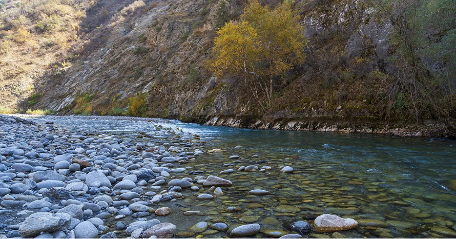 «Ромит» как модель устойчивого будущего: в Душанбе обсудили потенциал биосферного резервата ЮНЕСКО