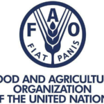 ООН: около 13,8 миллиона афганцев сталкиваются с нехваткой продовольствия