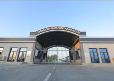 telegram-cloud-photo-size-2-5343720455271026276-x