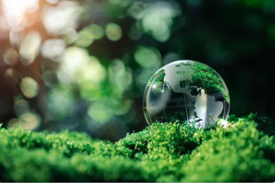 Тавозуни сабз: дастовардҳои асосии экологии Қазоқистон дар соли 2025