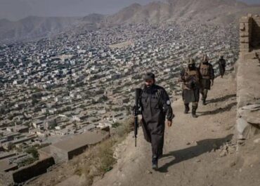 telegram-cloud-photo-size-2-5390936125972614393-y