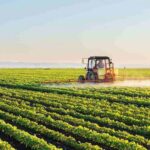 В сельском хозяйстве Кыргызстана внедряют международные стандарты качества