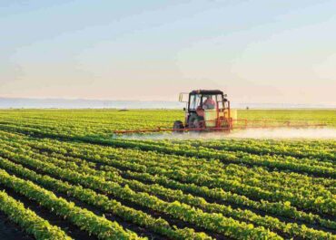 telegram-cloud-photo-size-2-5406839934603169581-y