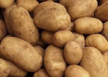 telegram-cloud-photo-size-2-5413404366913343573-x