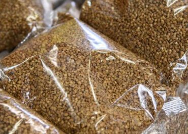 telegram-cloud-photo-size-2-5416107769653300376-x