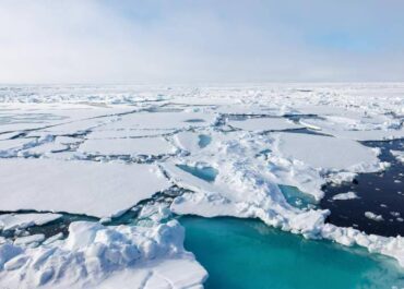 telegram-cloud-photo-size-2-5427259244215471117-y