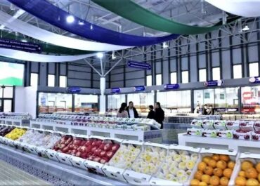 telegram-cloud-photo-size-2-5438446482970315948-y