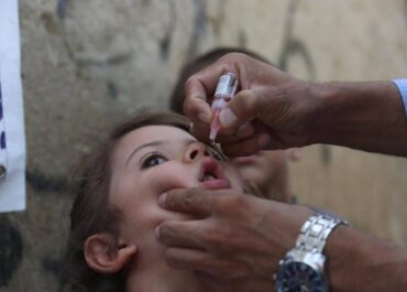 telegram-cloud-photo-size-2-5460635301928701481-y