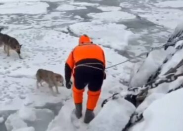 telegram-cloud-photo-size-2-5188326223514374812-y