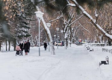 telegram-cloud-photo-size-2-5210850775771321998-y